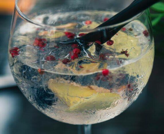 Le Gin Tonic